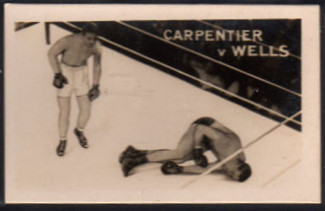 10 Carpentier Wells